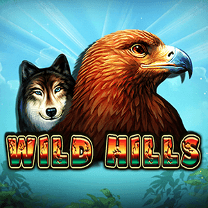 Wild Hills game cover